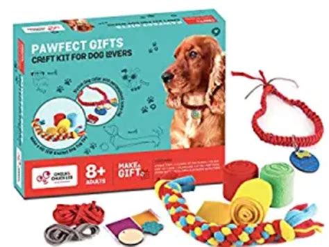 37 Cute Gifts for Dogs & Dog Lovers - Giftor