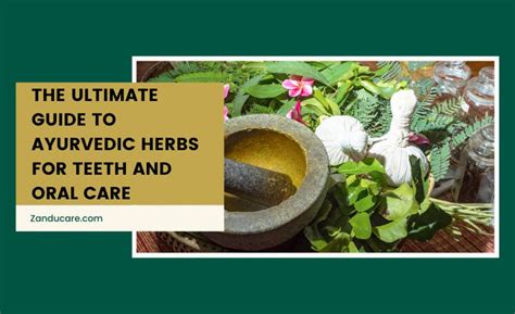 6 Best Ayurvedic Herbs for Teeth and Oral Care & Hygiene