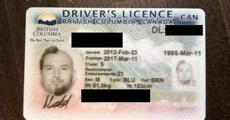 Lost Driver License Replacement 的图像结果