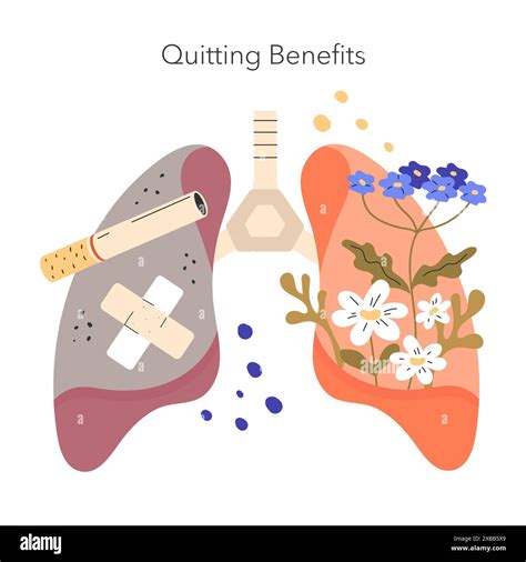 No Tobacco Day concept. Healthy lung rejuvenation after quitting smoking contrasted with damaged ...