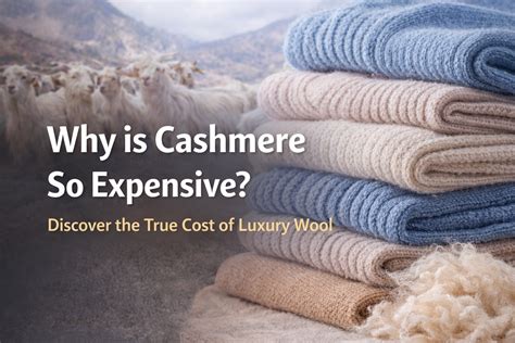 Why Is Cashmere Expensive