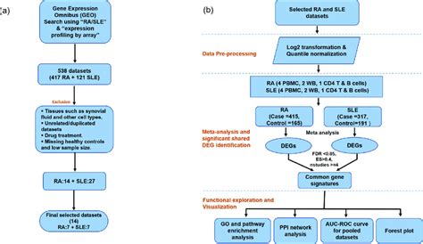 Image result for Meta-Analysis Coding Template