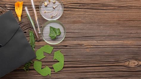 Image result for Dispose pattern Benefits