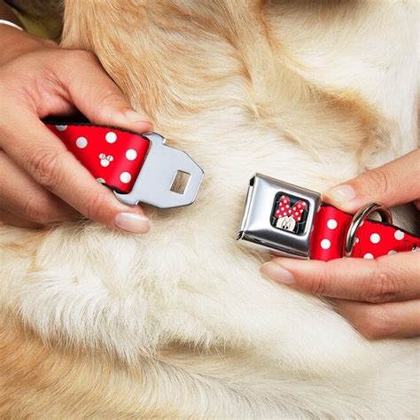Buckle-Down Minnie Mouse Polka Dot/Mini Silhouette Red/White Matte ...