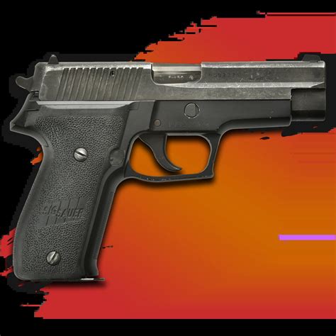 Sig Sauer P226 - Budapest Shooting