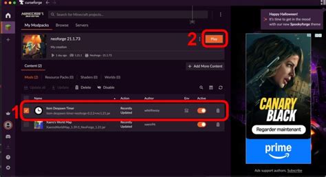 Image result for Comment Installer Le Mod Flash