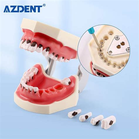 Image result for Calculus Model