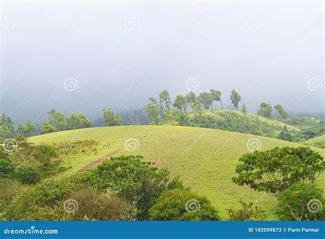 Vagamon Hills and Meadows - Misty Hills and Rainy Climate, Idukki, Kerala, India Stock Image ... - climate of kerala