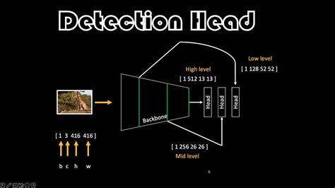 Image result for Detection Program Head Image