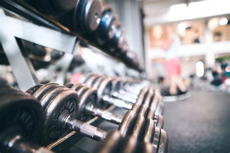 Basic Weight Training 的图像结果