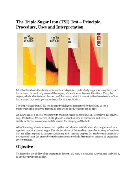 The Triple Sugar Iron - Lab - The Triple Sugar Iron (TSI) Test ...