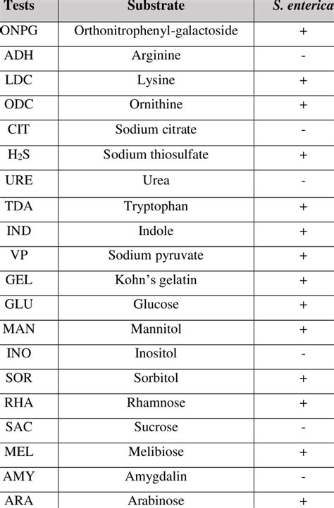 Image result for API Biochemical Test Kit