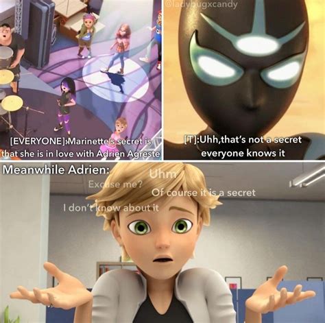 Pin by Kimberly Lemons on Miraculous Ladybug and Chat Noir | Miraculous ...