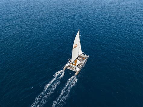 🌊 What is a Catamaran? History, advantages and much more