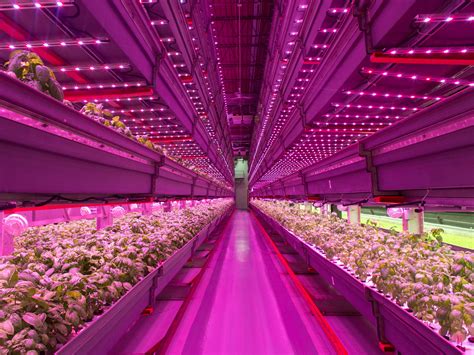 Indoor vertical farm is the future of agriculture - Business Insider