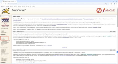 Tomcat Download for Java 的图像结果