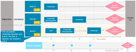 Irreversible Electroporation and Nivolumab Combined with Intratumoral ...