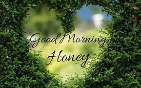Image result for Good Morning My Honey Bear