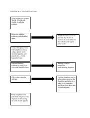 Image result for Pre-Lab Flow Chart