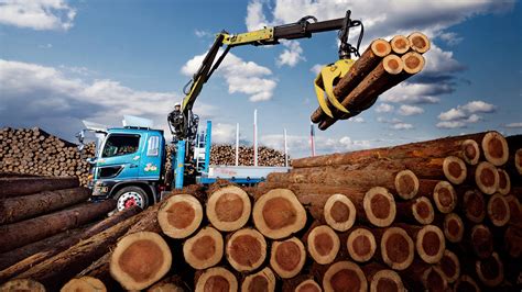 Forestry Cranes | Products | Hiab