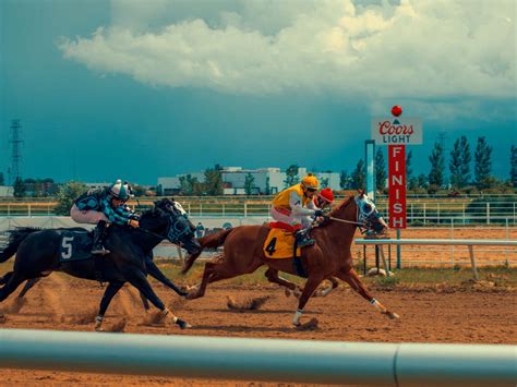 Fargo's North Dakota Horse Park Is Amping Up For A Thrilling Summer Of ...