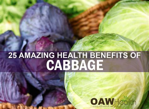 Fresh Cabbage Benefits at Arlene Jordan blog