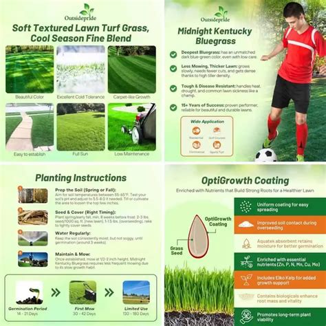 10 Best Drought-Tolerant Grass Seeds for Hot Climates in 2025 ...