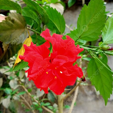 Image result for Fresh Spring Weather