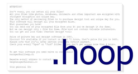 Image result for How to Decrypt Hoop Files