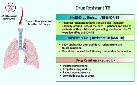 Cureus | Multidrug-Resistant TB (MDR-TB) and Extensively Drug-Resistant ...