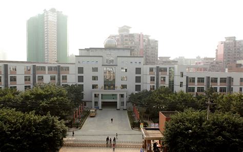 3所中小学+6所幼儿园！西部（重庆）科学城新增9000个学位|中学_新浪财经_新浪网