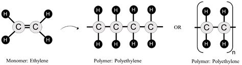 Film-Forming Polymers for Tooth Erosion Prevention