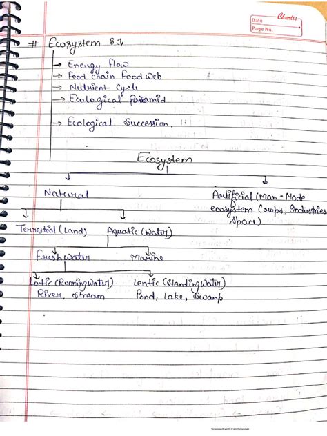 Image result for Topic 2 Ecosystem Dynamics Summary Notes