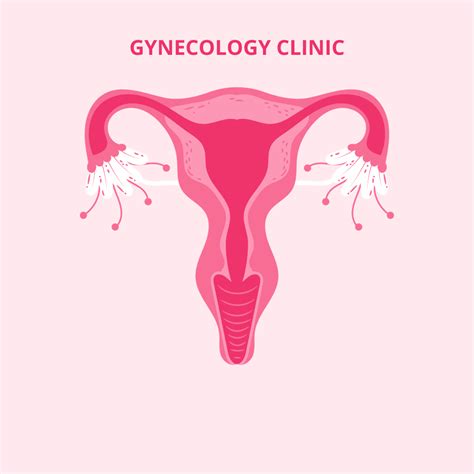 What Does a Gynecologist Do? | Gynecologist in Jalandhar