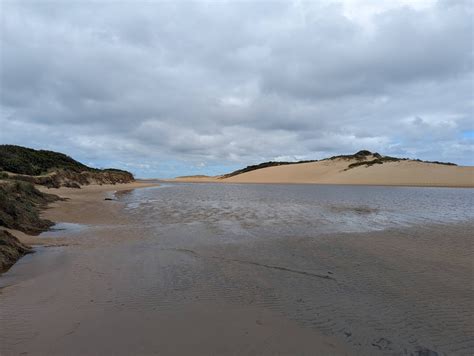 Christine Beeton (@christinebeeton@mstdn.social) - Mastodon 🐘