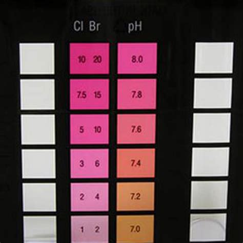 Taylor Pool Water Test Kit at Lowes.com