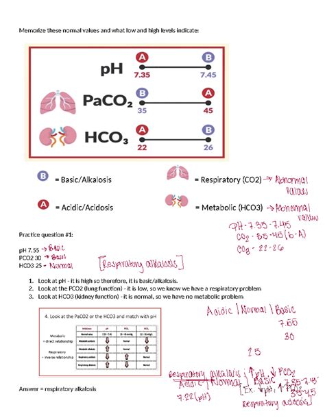 ABG Practice Questions - Memorize these normal values and what low and ...