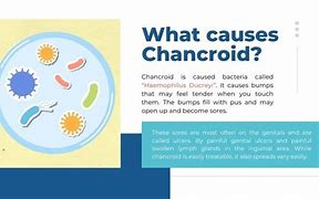 Chancroid 的图像结果