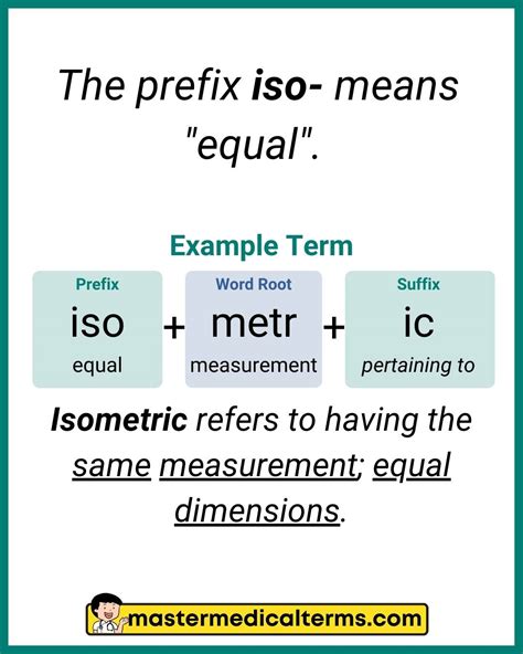 Medical Prefixes that Describe the Size - Master Medical Terms