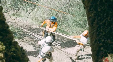 Image result for Dynamic Offset Function