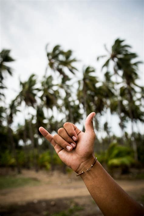 The Meaning And History Of Shaka - Rapture Surfcamps