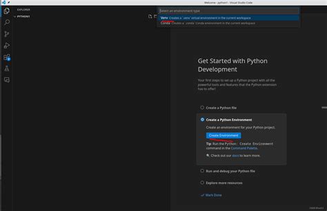 Py.test in Visual Studio Code 的图像结果