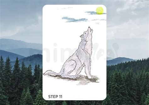 Image result for How to Draw Wolves
