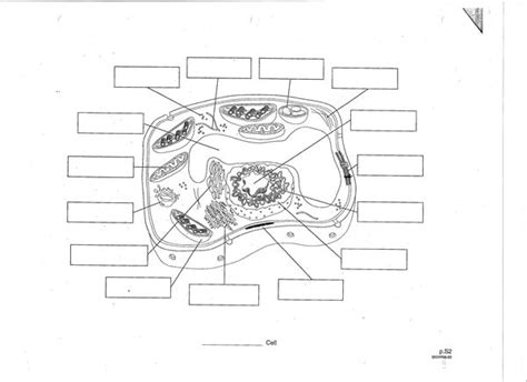 Cell Structure Unlabeled 的图像结果