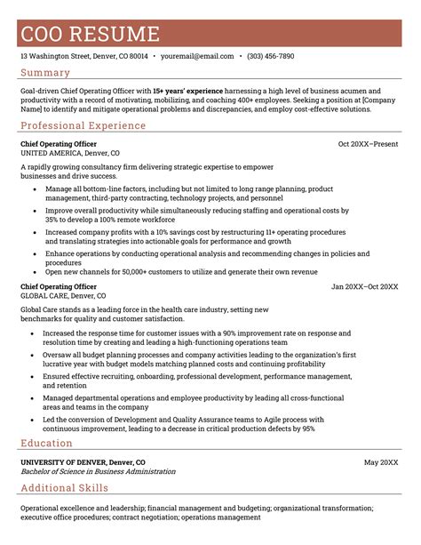 Vice President Resume - Examples & Template (Free Download)