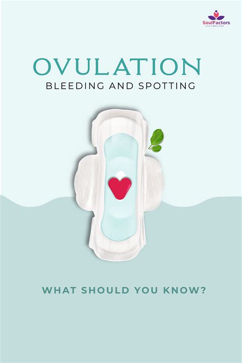 Spotting During Ovulation: What Should You Know? | Ovulation, Ovulation time, What is ovulation
