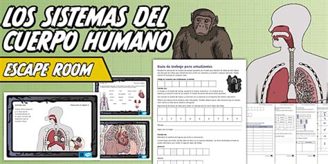 Escape Room: Sistemas orgánicos