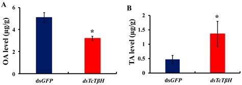 How Tyramine β-Hydroxylase Controls the Production of Octopamine ...