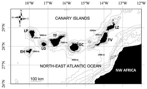 Diversity | Special Issue : Global Change Effects on Marine Benthos