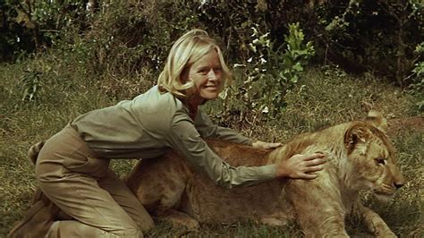 From Born Free to Downton Abbey – Vecchio